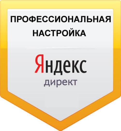 Яндекс директ в Петербурге, Москве. Настройка, ведение, реклама.
